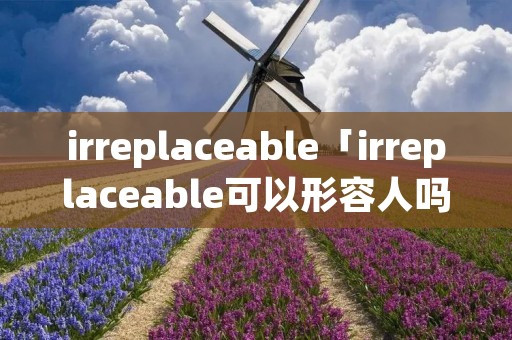 irreplaceable「irreplaceable可以形容人吗」