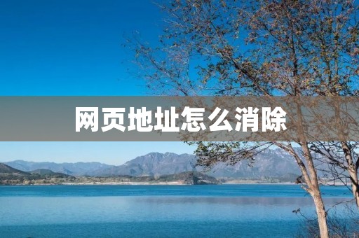 网页地址怎么消除