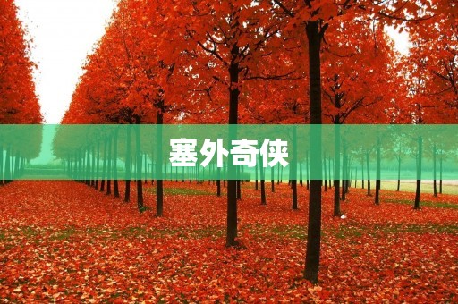塞外奇侠:传奇的英雄故事