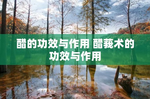 醋的功效与作用 醋莪术的功效与作用