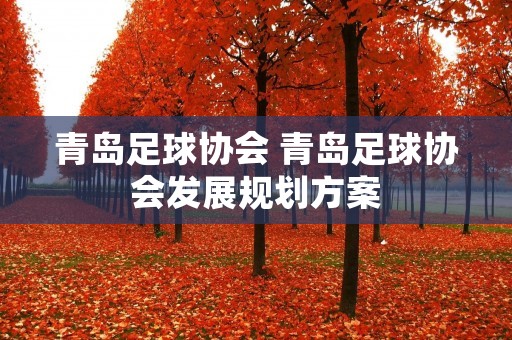 青岛足球协会 青岛足球协会发展规划方案