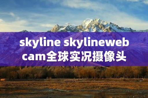 skyline skylinewebcam全球实况摄像头