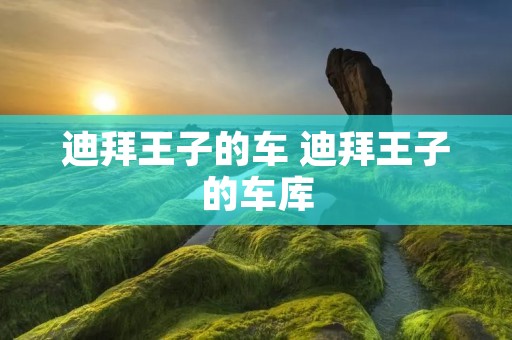 迪拜王子的车 迪拜王子的车库