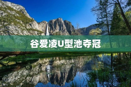 谷爱凌U型池夺冠:绽放青春的光芒 谷爱凌U型池夺冠:绽放青春的光芒