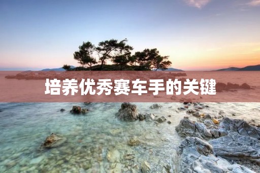 培养优秀赛车手的关键:专业赛车手培训 培养优秀赛车手的关键:专业赛车手培训