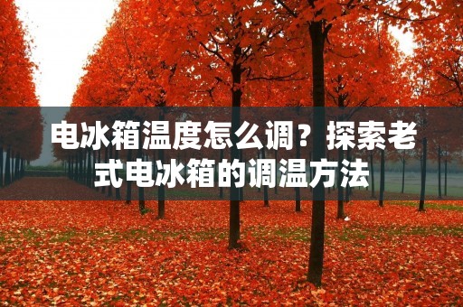 电冰箱温度怎么调？探索老式电冰箱的调温方法