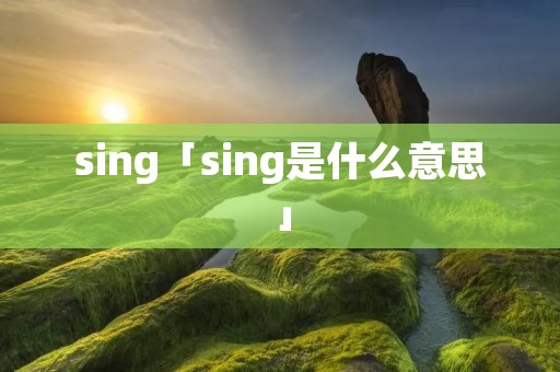 sing「sing是什么意思」