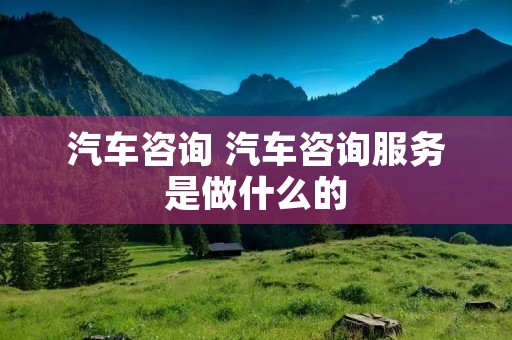 汽车咨询 汽车咨询服务是做什么的