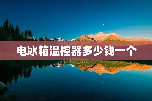 电冰箱温控器多少钱一个：详细解析