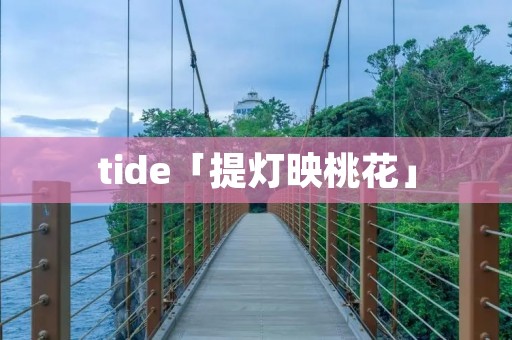 tide「提灯映桃花」