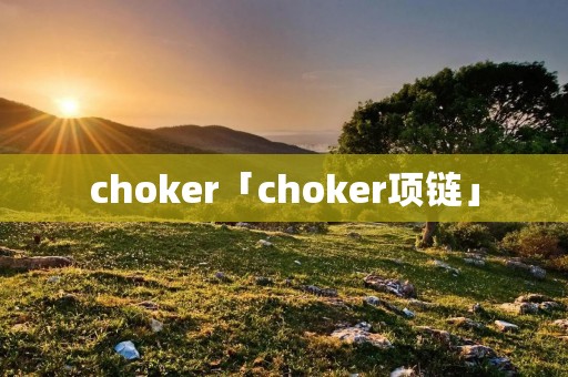 choker「choker项链」