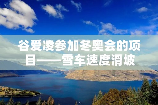 谷爱凌参加冬奥会的项目——雪车速度滑坡 谷爱凌参加冬奥会的项目——雪车速度滑坡