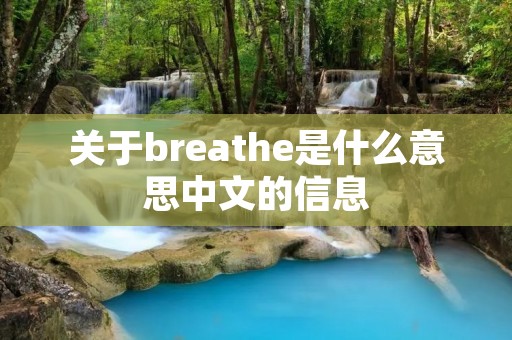 关于breathe是什么意思中文的信息