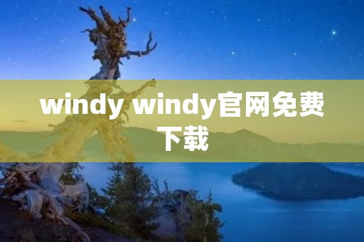 windy windy官网免费下载