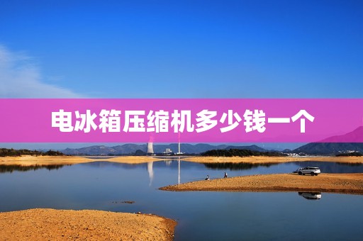电冰箱压缩机多少钱一个 电冰箱压缩机多少钱一个