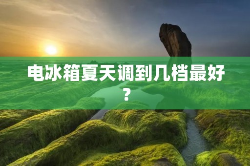电冰箱夏天调到几档最好? 电冰箱夏天调到几档最好?
