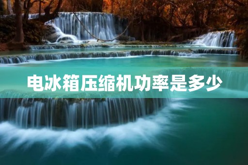 电冰箱压缩机功率是多少 电冰箱压缩机功率是多少