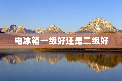 电冰箱一级好还是二级好：为您揭秘电冰箱等级之争