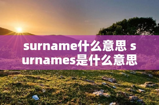 surname什么意思 surnames是什么意思