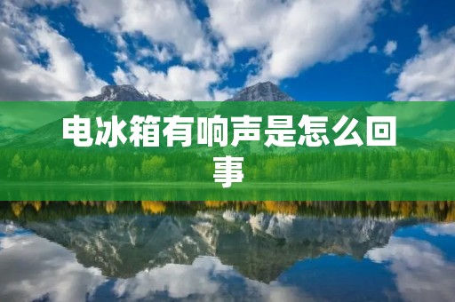 电冰箱有响声是怎么回事 电冰箱有响声是怎么回事