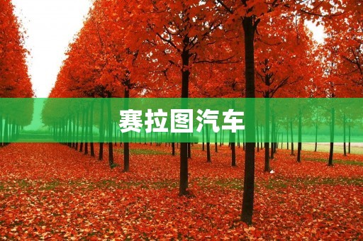 赛拉图汽车：豪华与性能的完美结合
