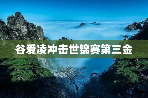 谷爱凌冲击世锦赛第三金：华裔选手再创辉煌
