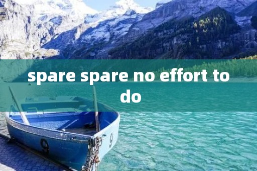spare spare no effort to do