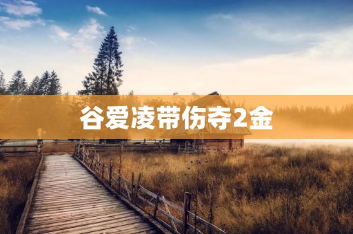 谷爱凌带伤夺2金：勇气与坚持的完美结合