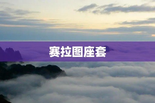 赛拉图座套：为你的座椅注入时尚与舒适