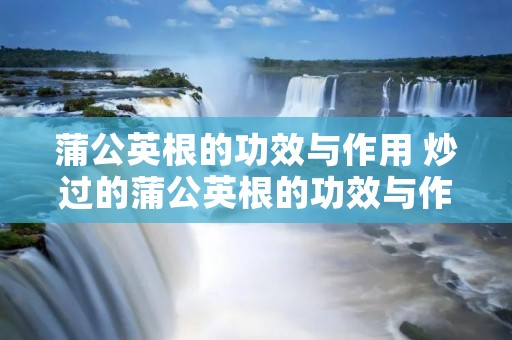 蒲公英根的功效与作用 炒过的蒲公英根的功效与作用