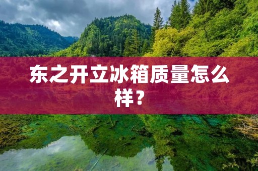 东之开立冰箱质量怎么样？