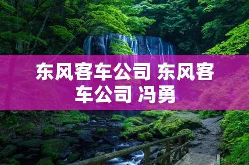 东风客车公司 东风客车公司 冯勇 东风客车公司 东风客车公司 冯勇