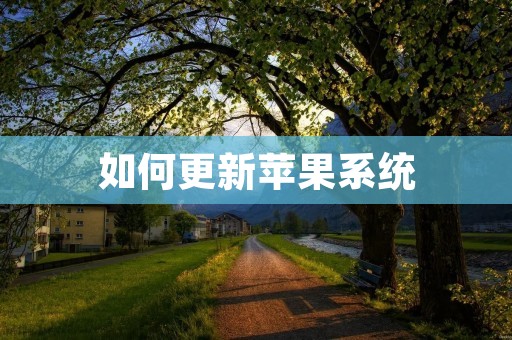 如何更新苹果系统:详细步骤与注意事项