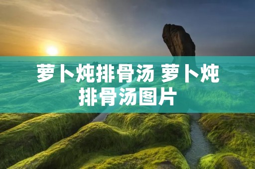 萝卜炖排骨汤 萝卜炖排骨汤图片