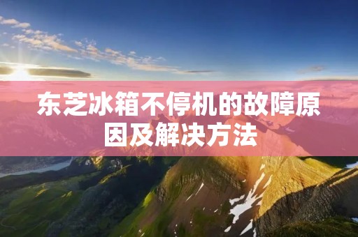 东芝冰箱不停机的故障原因及解决方法 东芝冰箱不停机的故障原因及解决方法