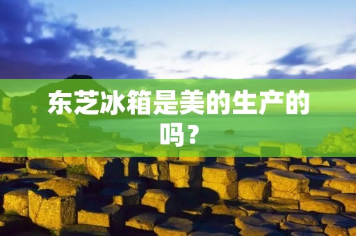 东芝冰箱是美的生产的吗？