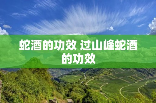 蛇酒的功效 过山峰蛇酒的功效