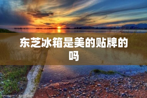 东芝冰箱是美的贴牌的吗 东芝冰箱是美的贴牌的吗