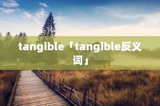 tangible「tangible反义词」