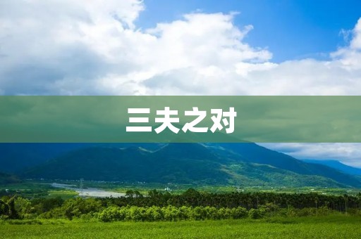 三夫之对:探索婚姻中的多元关系