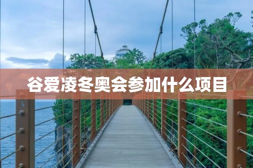 谷爱凌冬奥会参加什么项目