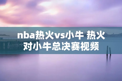 nba热火vs小牛 热火对小牛总决赛视频 nba热火vs小牛 热火对小牛总决赛视频