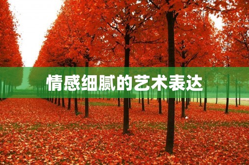 情感细腻的艺术表达：用笔尖描绘心灵的细节