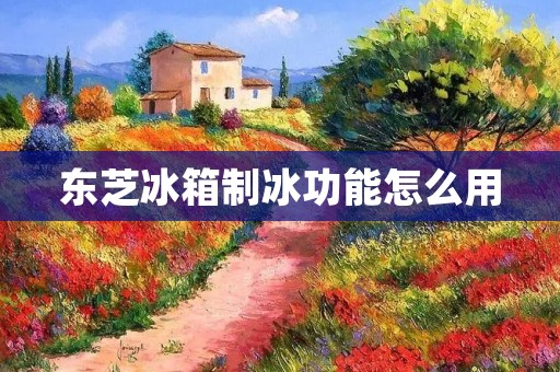 东芝冰箱制冰功能怎么用