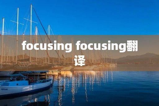 focusing focusing翻译
