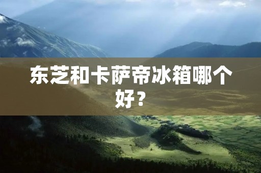 东芝和卡萨帝冰箱哪个好？