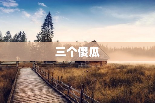 三个傻瓜:一部感动人心的电影