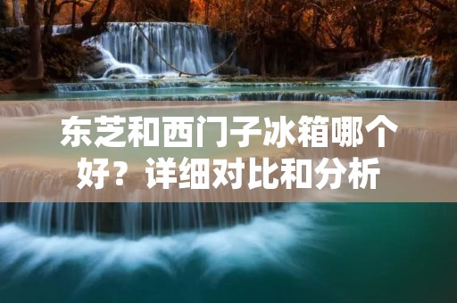 东芝和西门子冰箱哪个好？详细对比和分析