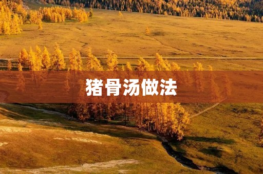 猪骨汤做法：传统经典滋补美味，滋养身心