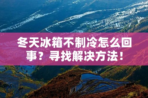 冬天冰箱不制冷怎么回事？寻找解决方法！